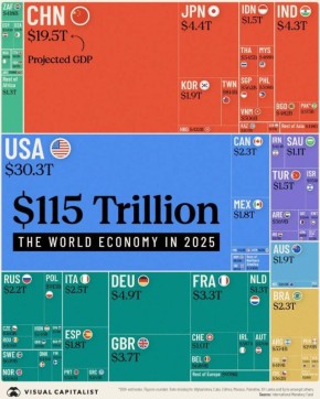  :   2025    $115    Visual Capitalist