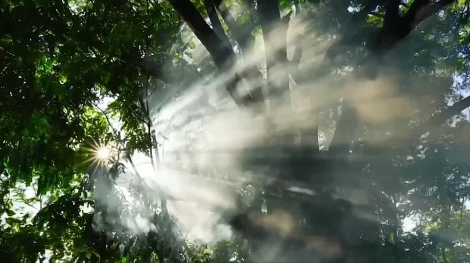  :      ,   Kandinsky