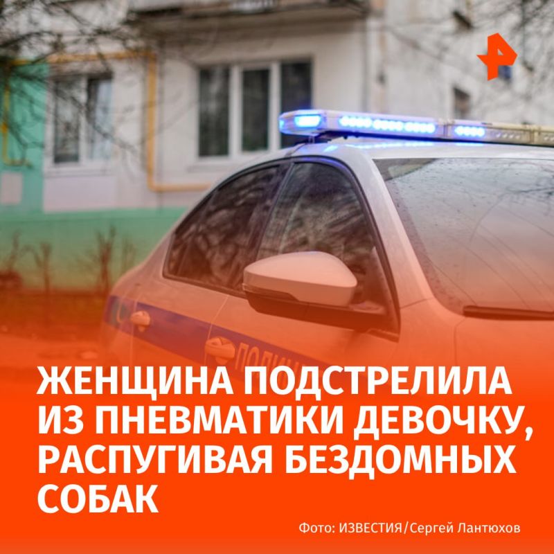 Школьница получила ранение в голову после того, как женщина решила пострелять из окна по бездомным животным