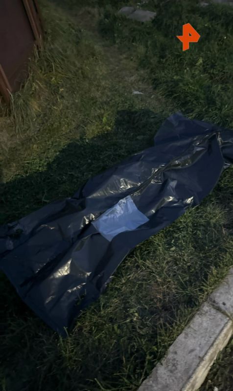 Хаски застрелили посреди жилого двора — пёс Барсик умер, пытаясь добраться до людей за помощью Хаски застрелили посреди жилого двора — пёс Барсик умер, пытаясь добраться до людей за помощью