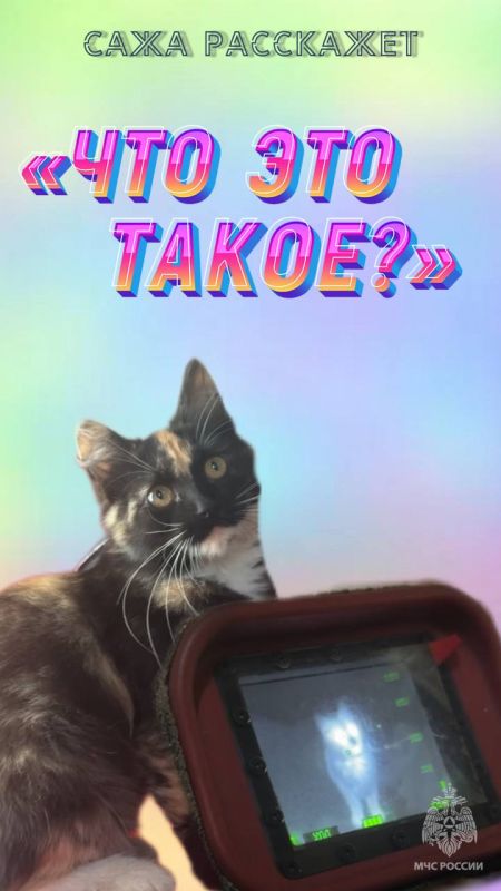 Пожарная кошка Сажа расскажет, какие инструменты огнеборцы используют на пожаре