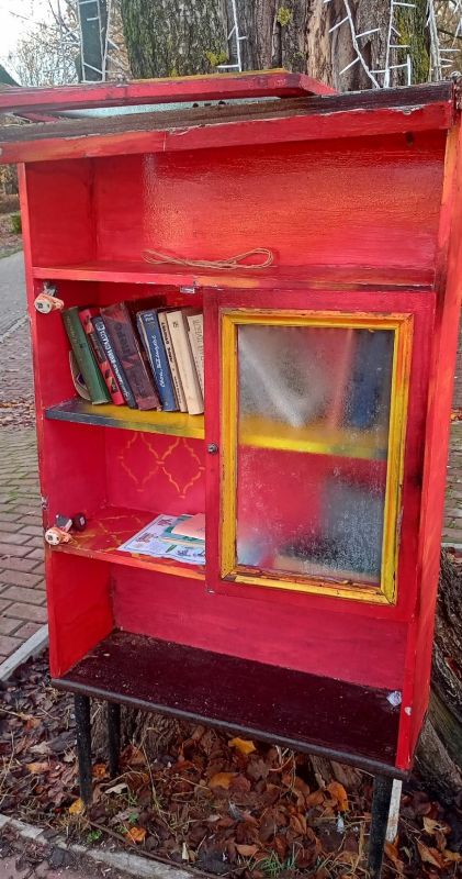 Вандалы сломали шкаф уличной библиотеки в Твери
