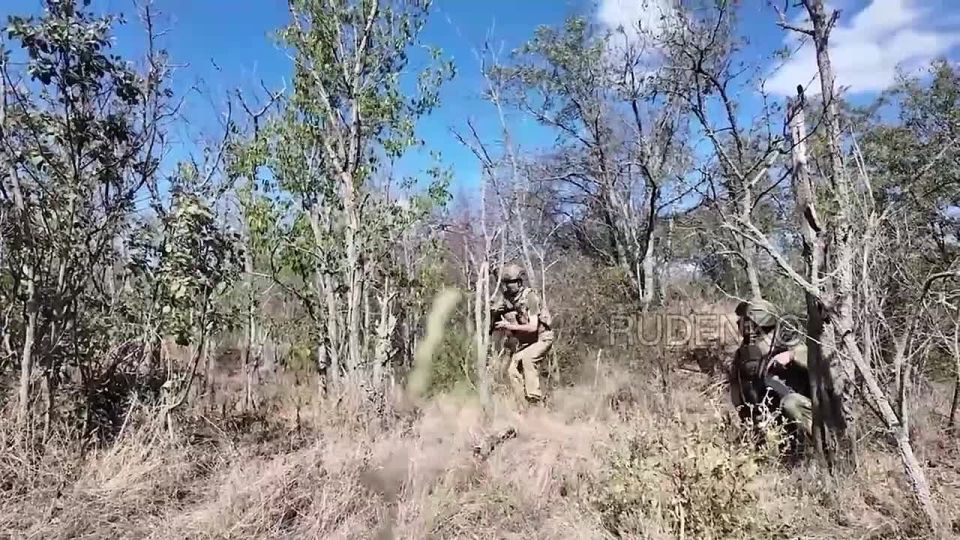  : -    -                 ...