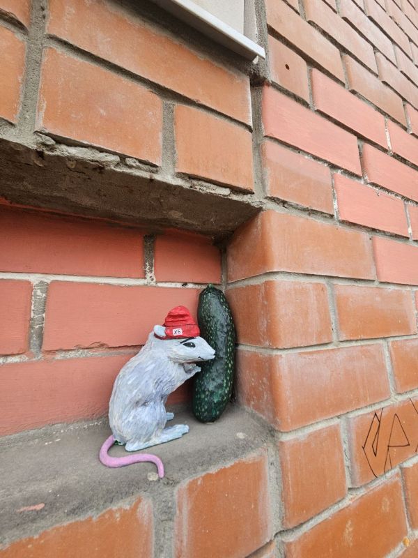 В Твери появился новый арт-объект: мышь Виталик с кабачком