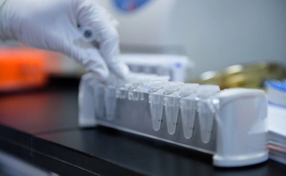 Северокорейская фармацевтическая компания Pugang Pharmaceutical Company, находящаяся под западными санкциями, в начале этого года подала заявку на регистрацию своего препарата от тромбоза Royal Blood-Fresh в России, сообщает...