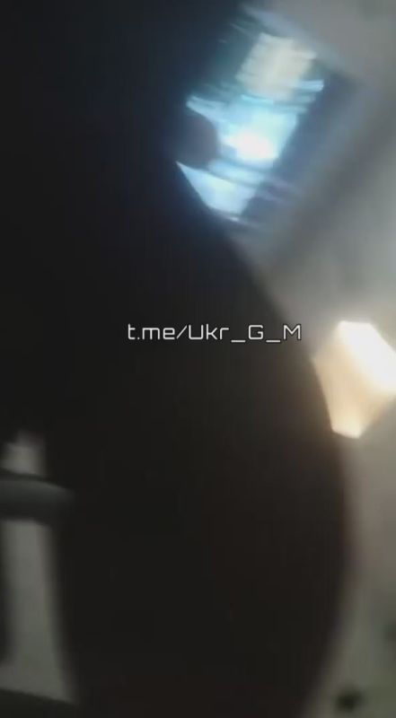  :          ,        ,    