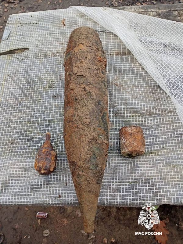   . 11  2025    ()  -             : 122 ...