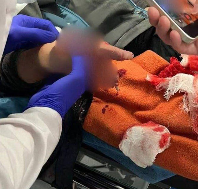  :      -  .   ,    ,  ,   