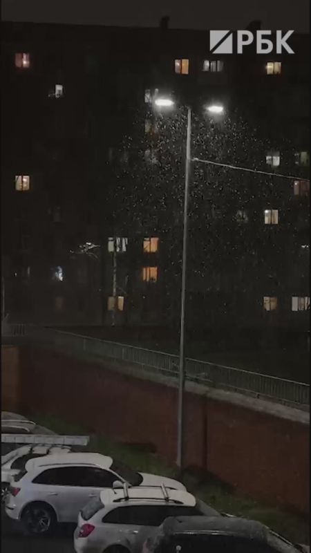 В Санкт-Петербурге начался снегопад: первые сообщения о снеге поступили из юго-западных районов города