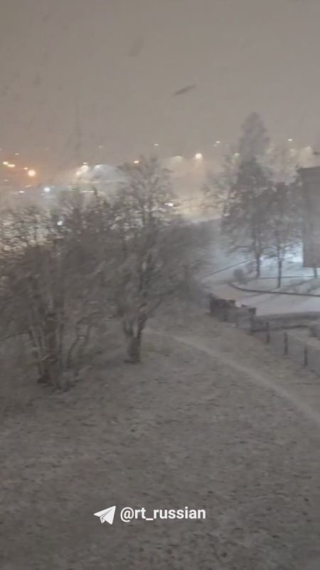 Снегопад накрывает Петербург и Ленобласть: заметает Ломоносов, Гатчину и Петергоф