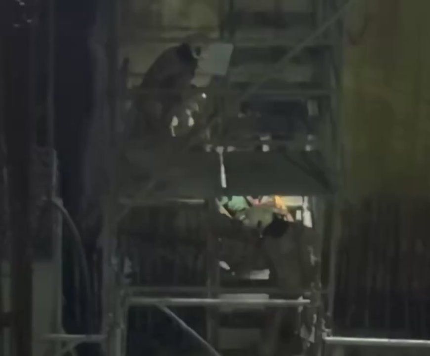 -     11 ,  12   ,  Reuters