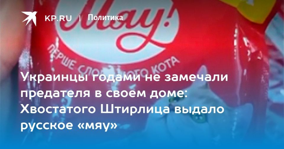 Дмитрий Стешин: Я сначала подумал, что это изощренный фейк