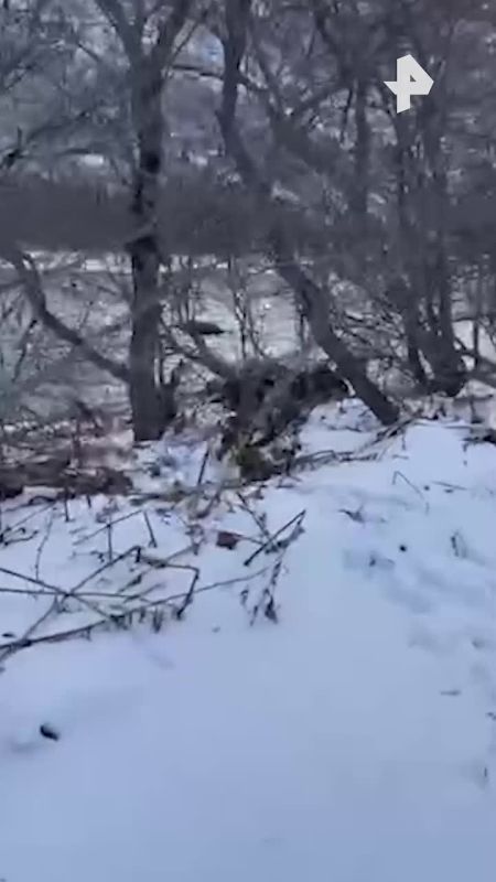 &quot; ?&quot;:  &quot;&quot;     