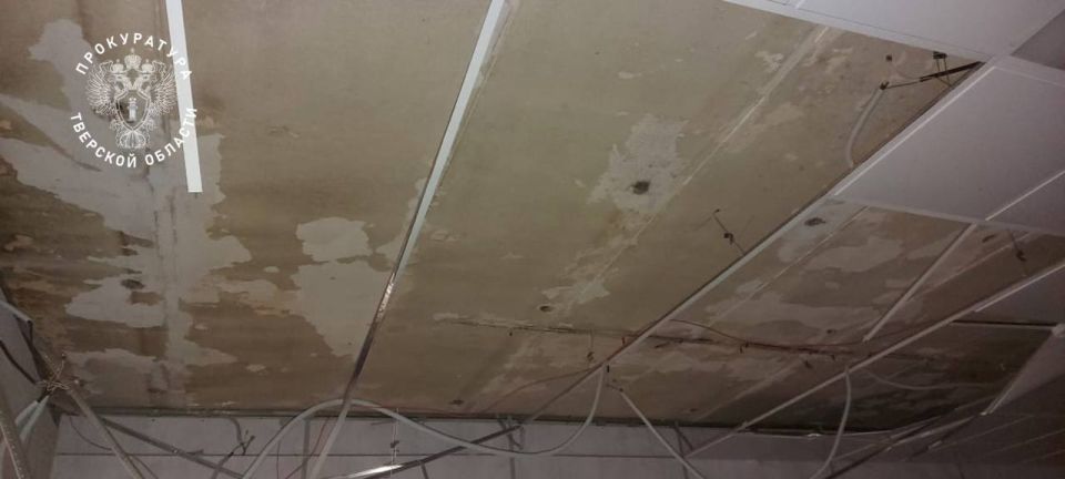   ..              17         N 1