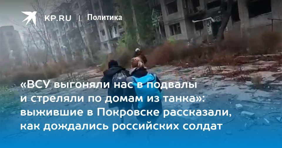 Дмитрий Стешин: Этот репортаж выворачивает душу: 11 месяцев в подвалах Красноармейска/Покровска