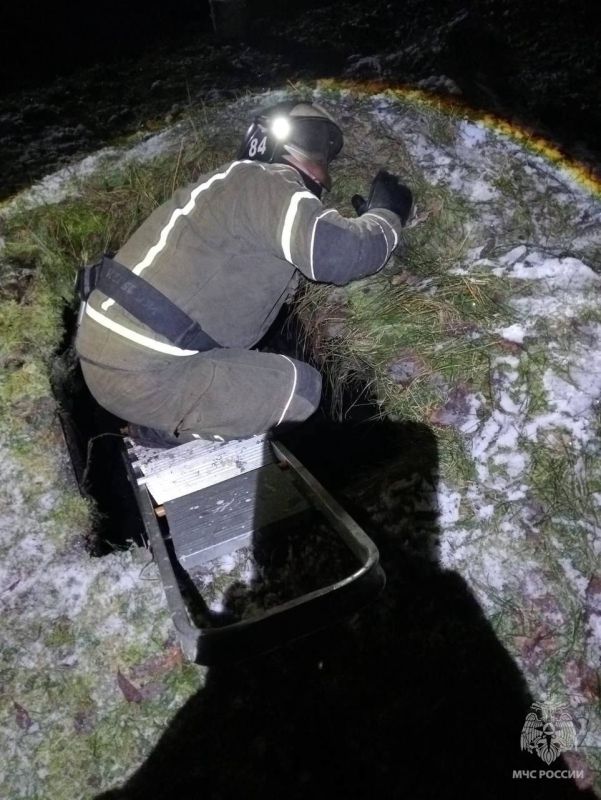 Спасли хвостатого бродягу. Отделение 84 ПСЧ выезжало по адресу: п. Редкино Конаковского МО. На месте выяснилось, что собака провалилась в канализационную яму и самостоятельно выбраться не могла