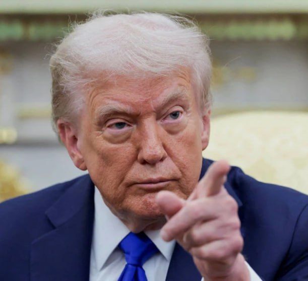 «Тихо! Тихо, свинка»