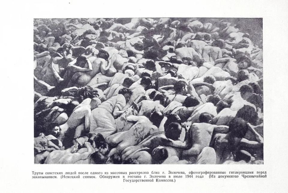 "Передо мной сидела развалина, руина человека"