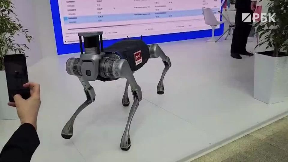 Ространснадзор показал одну из робособак, которых тестируют для работы на железной дороге в России