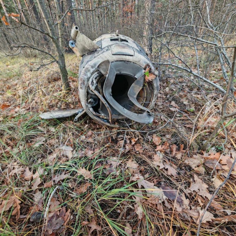 Неразорвавшиеся блоки сбитых над Воронежем ATACMS нашли на юго-западе города