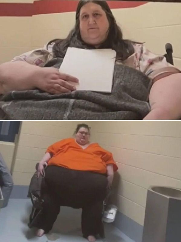           14     16 .    ,  ,   6