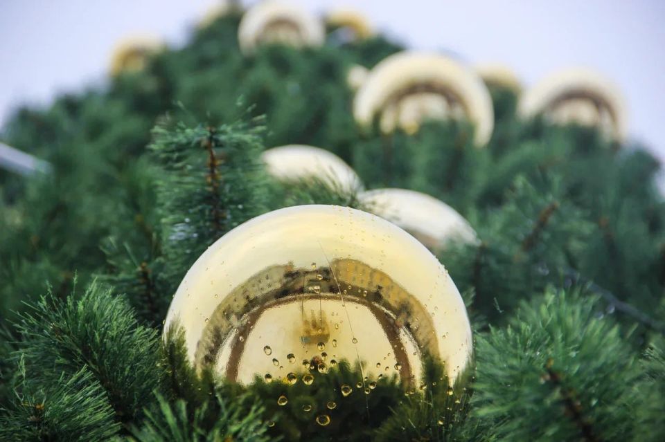 Тверская область готовится к проведению международного фестиваля «ПРО_МОРОЗОВ» в преддверии Нового года