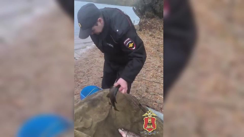 Улов из 12 рыб обернулся уголовным делом для двоих жителей Тверской области