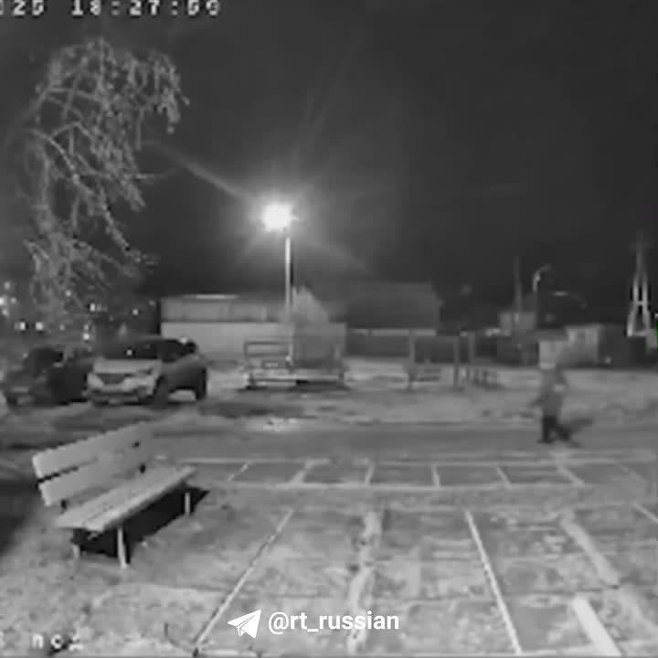 Стая собак чуть не растерзала восьмилетнего ребёнка в уральском Карпинске, пишут в местных группах: