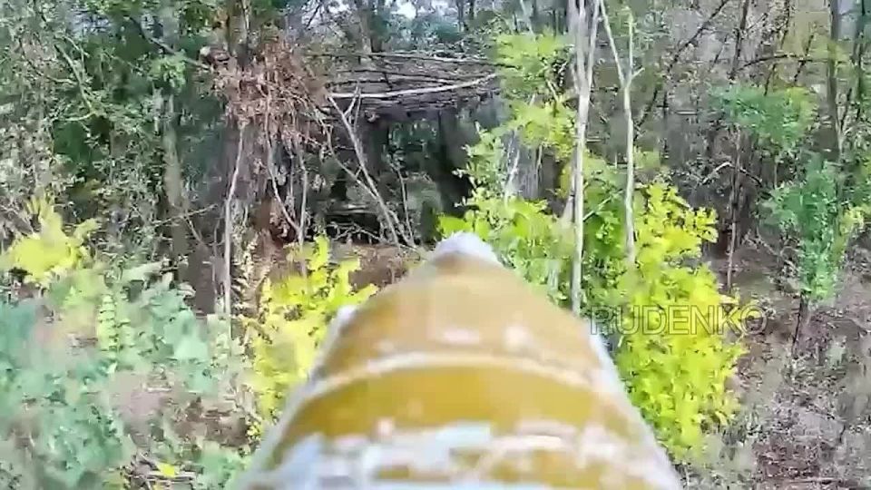 Андрей Руденко: Операторы FPV-дронов группировки войск «Восток» уничтожили танк противника в Запорожской области