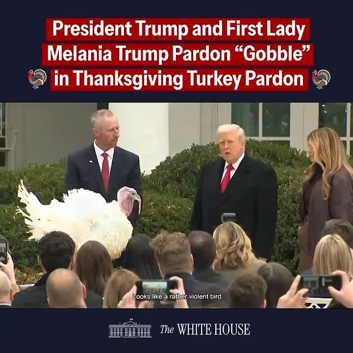 Валентин Богданов: Трамп помиловал только Курлыку