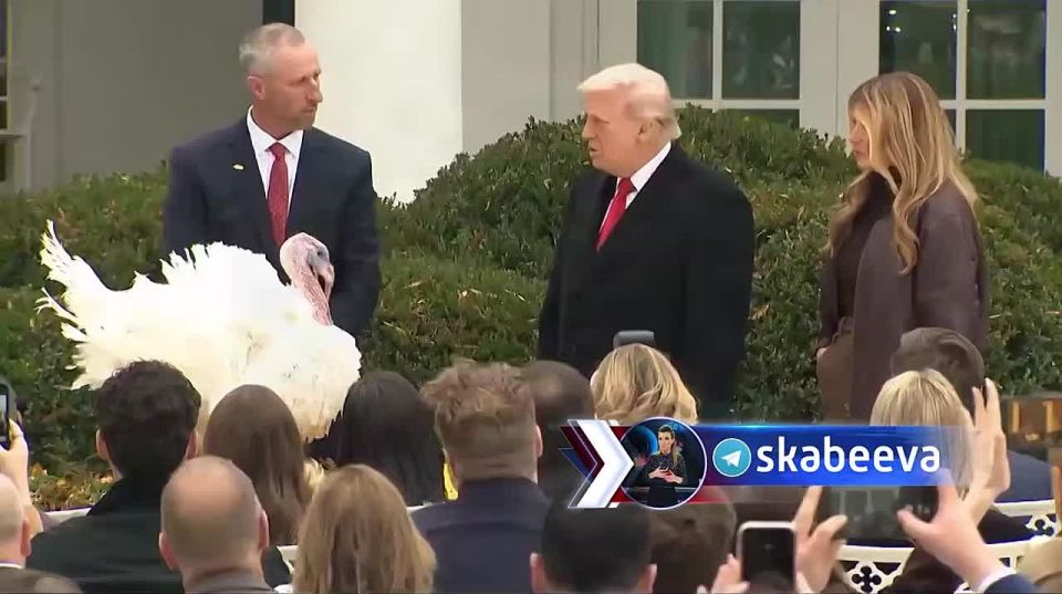 Индейка Гоббл опередила Зеленского и получила помилование президента США