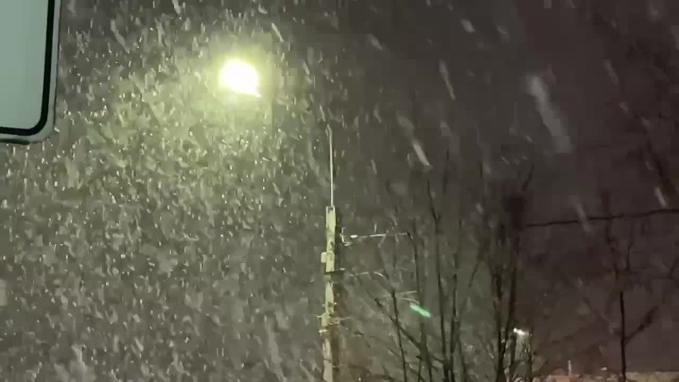 В Москве сегодня возможна гололедица, а также налипание мокрого снега на провода и ветви деревьев