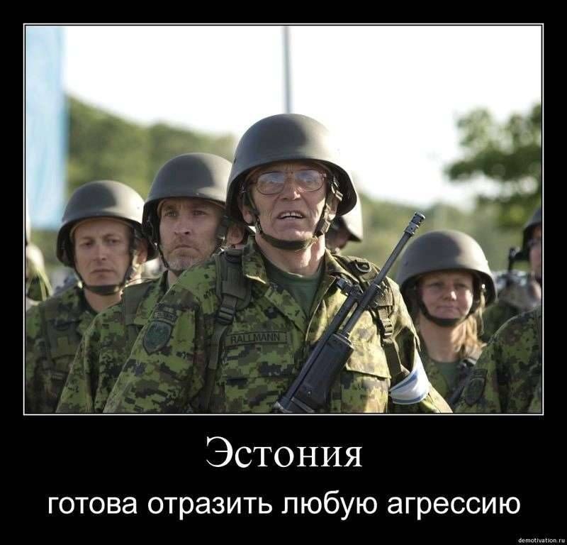  :     .                    Politico