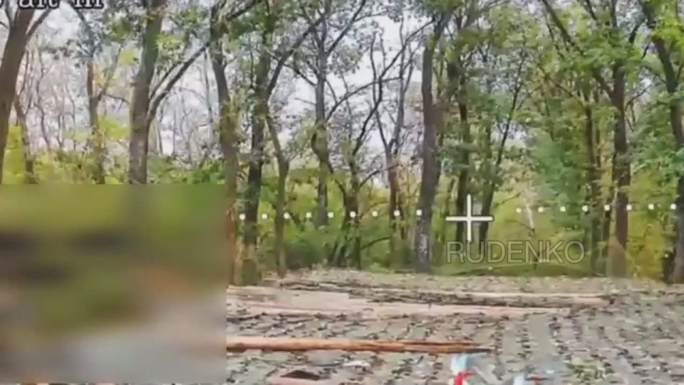 Андрей Руденко: Операторы FPV-дронов совместно с артиллеристами 71-й гвардейской мотострелковой дивизии «Южной» группировки войск уничтожили 155-мм самоходную артиллерийскую установку (САУ) PzH-2000 производства Германии на...