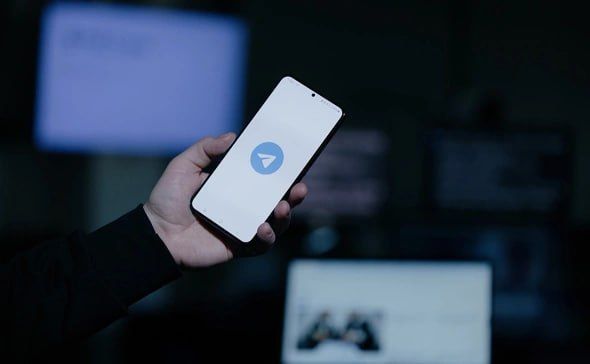 22   ,          Telegram  WhatsApp ( Meta,       )