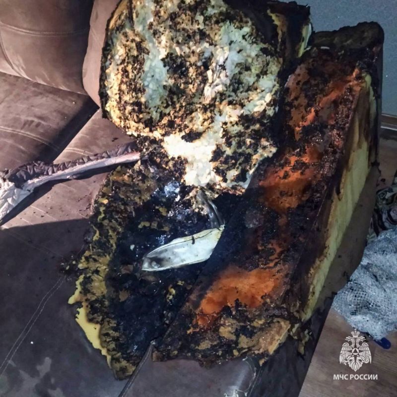 Оставленный на диване пауэрбанк чуть не спалил квартиру семьи с двумя детьми в Перми Оставленный на диване пауэрбанк чуть не спалил квартиру семьи с двумя детьми в Перми