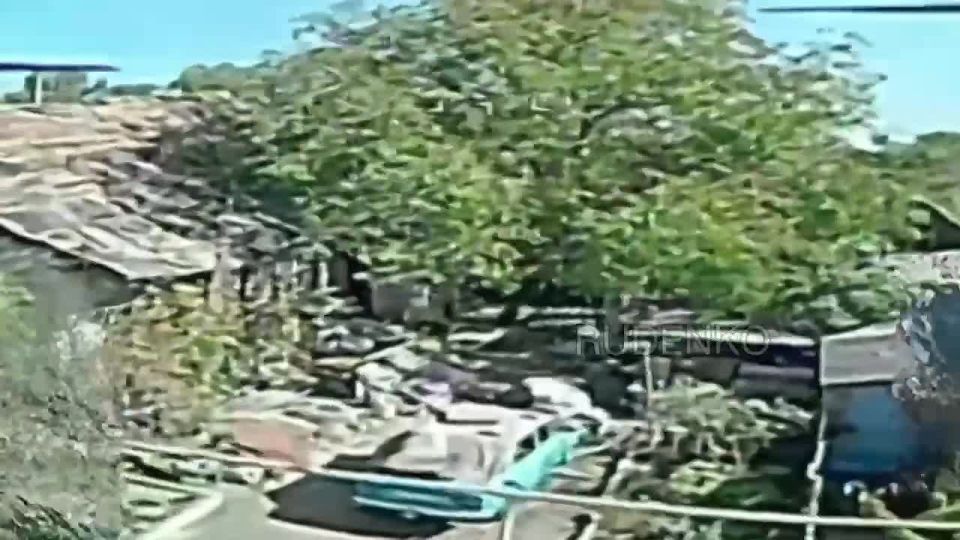  :         ,           ,      ...