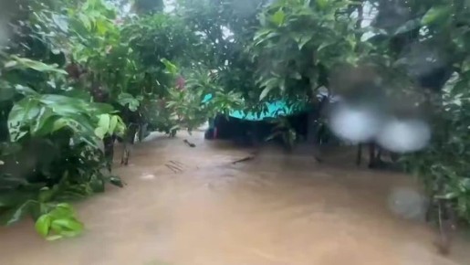  174     - ,  Reuters