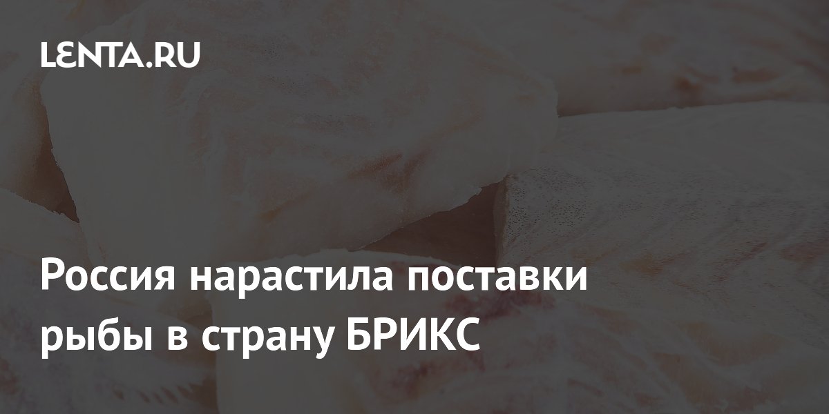 Евгений Попов: Рыбы и морепродуктов на $2,5 млрд продала Россия Китаю в январе-октябре этого года