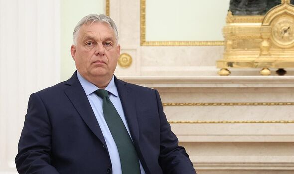 -    ,           28 ,        