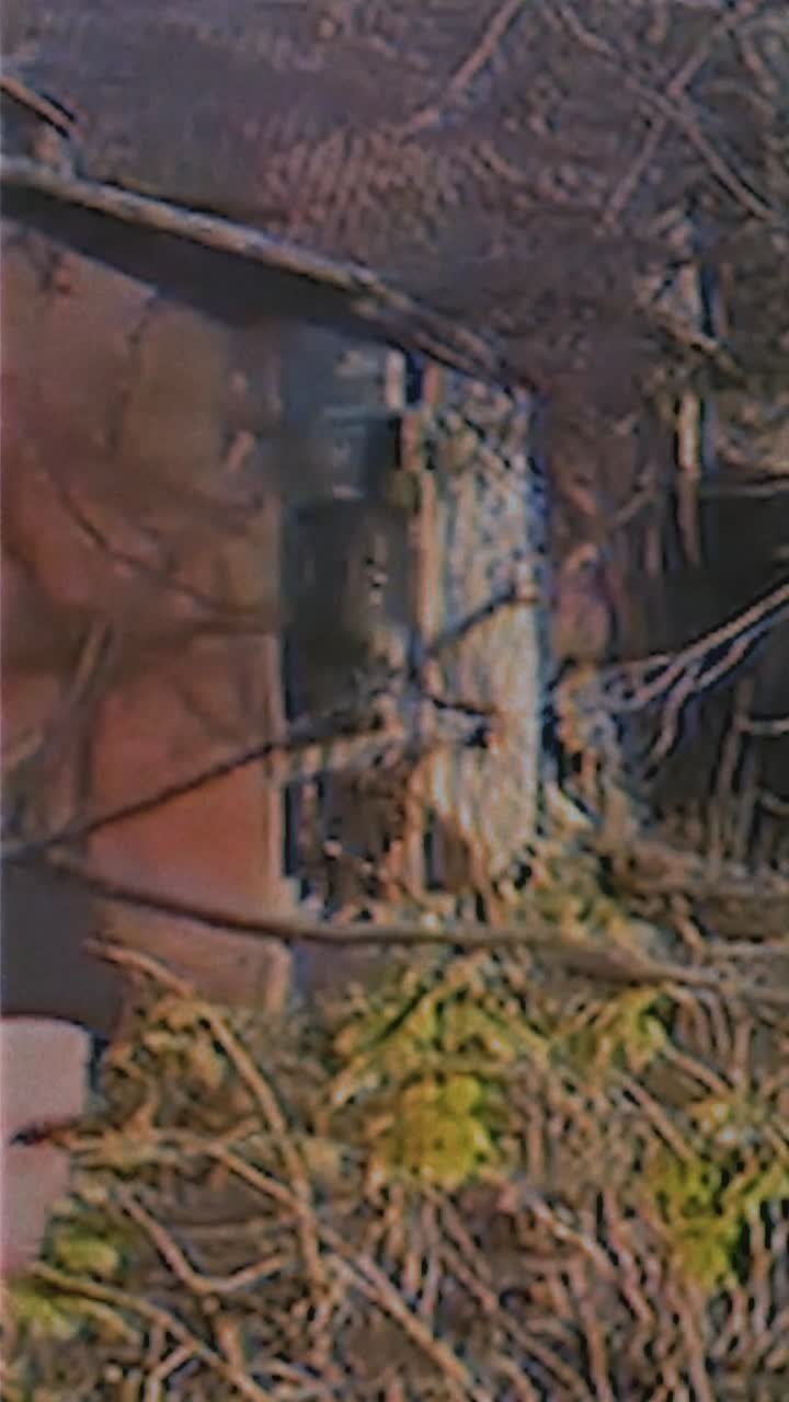 Они вышли на свободу и теперь живут среди нас! По статистике, 8 из 10 серийных убийц берутся за старое!