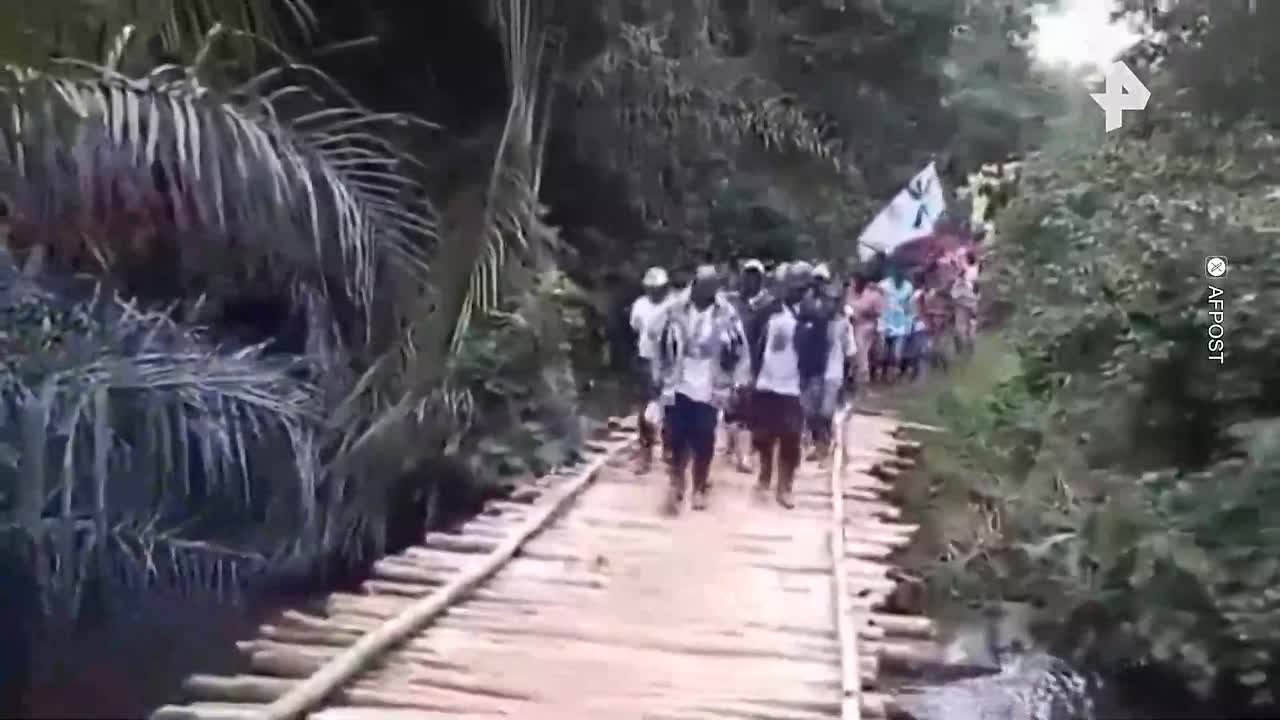 В Конго построили деревянный мост за $2 млн — он рухнул во время торжественного открытия