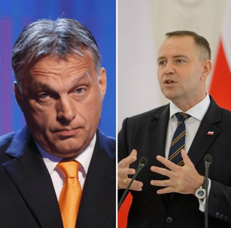 Навроцкий решил ограничить свой визит в Венгрию из-за поездки Орбана в Москву, сообщил глава его канцелярии