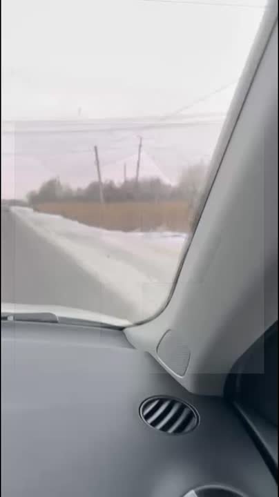 Тигр вышел "ловить попутку" к автотрассе и очень удивил жителей Хабаровска