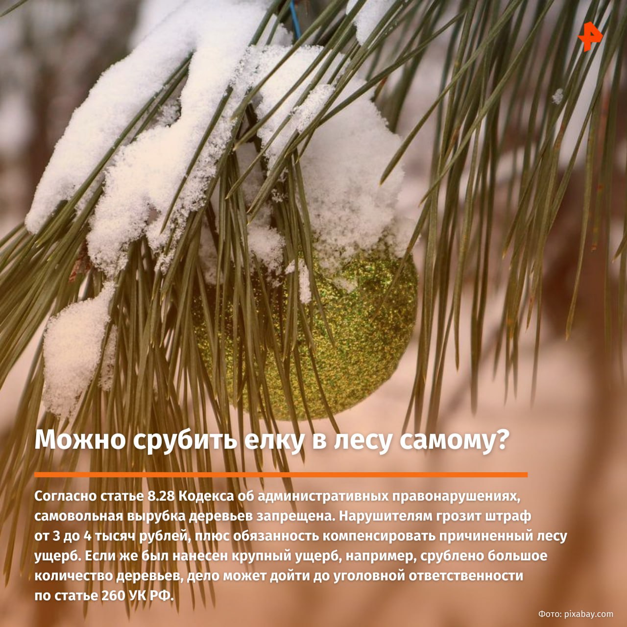 Превратить Новый год в кошмар? Легко! Достаточно неправильно повесить гирлянды, запустить салют с балкона или принести домой ёлку из леса Превратить Новый год в кошмар? Легко! Достаточно неправильно повесить гирлянды, запустить салют с балкона или принести домой ёлку из леса