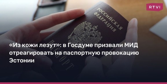 «Из кожи лезут»: в Госдуме призвали МИД отреагировать на паспортную провокацию Эстонии