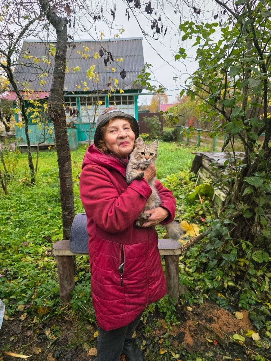 Тверские зооволонтеры подвели итоги проекта «Бабушка для кошки» Тверские зооволонтеры подвели итоги проекта «Бабушка для кошки»