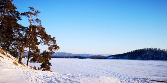 Законопроект, который разрешает при определенных условиях сплошные рубки на Байкале, готовят ко второму чтению