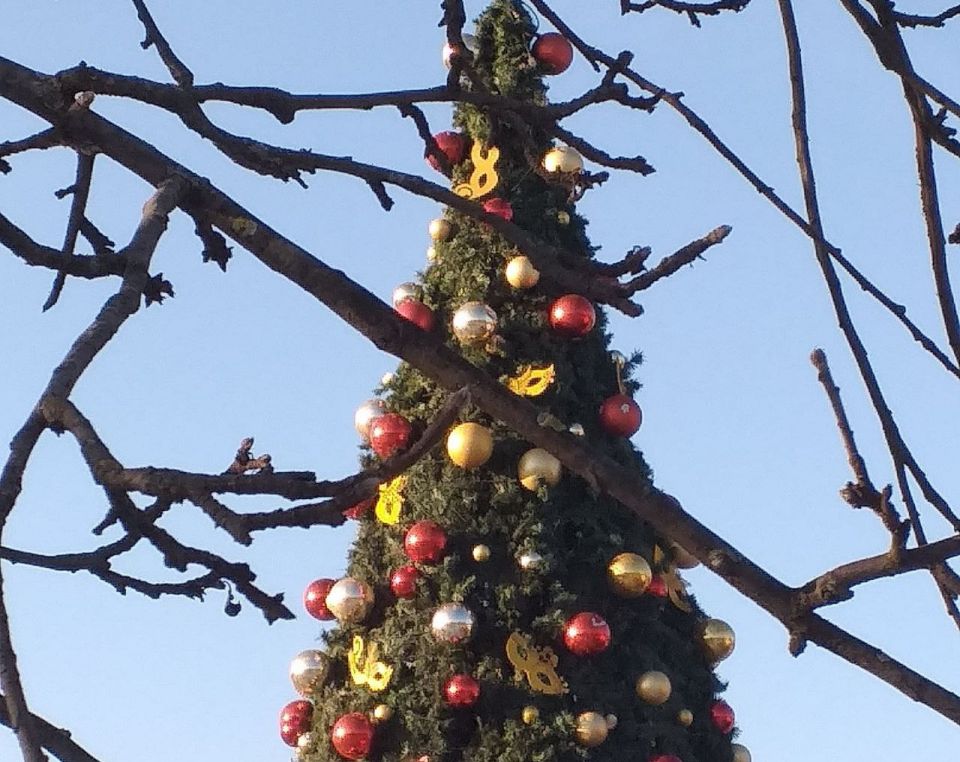 Ёлки, ёлки, ёлки-палки. Деды, бороды