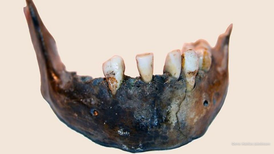 Останки людей, 200 тысяч лет находившихся в изоляции от человечества, нашли ученые в ЮАР